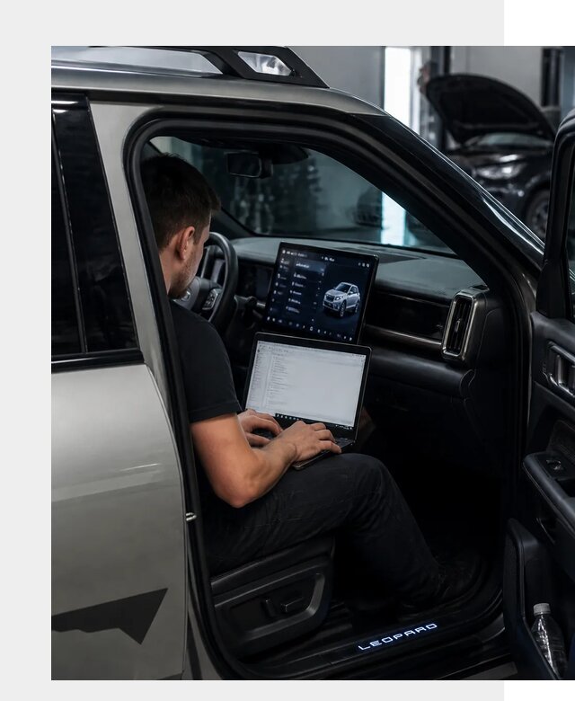 Русификация BYD Leopard 3 в Тихорецке по цене от 20511 р. | ФастМобиль-Тхр